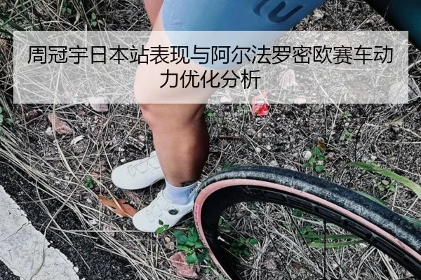 zhou-guan-yu-ri-ben-zhan-biao-xian-yu-a-er-fa-luo-mi-ou-sai-che-dong-li-you-hua-fen-xi-2-892.jpg